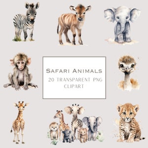 Safari Animals Clipart PNG | Baby Safari Watercolor Animals | Nursery Art | Giraffe Lion Elephant | Commercial Use | Digital Download