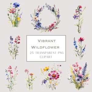 Watercolour Wildflower Clipart, Botanical Clipart, Floral Clipart, Wildflower Bundle, Watercolor Wildflowers, Vibrant Wildflower Clipart