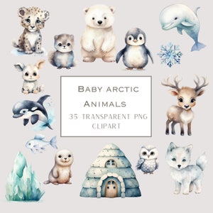 Aquarelle Animaux de l'Arctique des cliparts | Bébé ours polaire et ses amis PNG | Art pour chambre d'enfant au pays des merveilles d'hiver | Graphismes animaliers du pôle Nord