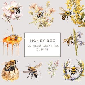 Watercolour Honey Bee Clipart, Bee Clipart, Honey Spring Garden Flowers, Honeycomb Clipart, Digital Bee, Instant Download, Commercial Use