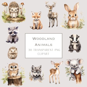 Woodland Animals Watercolor Clipart, Baby Animals PNG, Watercolour Nursery Woodland, Nursery Clipart, Forest Animals, Fox, Bear, Deer