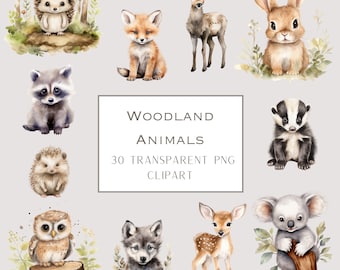 Watercolor Woodland Animals Clipart: 30 Baby Animal PNGs (Digital Download)