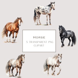 Horse PNG, Horse Clipart Set, Watercolor Horse Clipat, Horse Sublimation Designs, Western Clipart, Farm Animals PNG