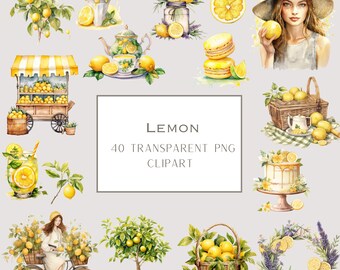 Bundle de cliparts citron aquarelle : 40 graphiques de fruits PNG (usage commercial)
