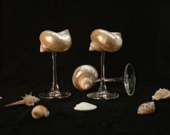 Handmade Natural Conch Shell Wine Glass, Beach Wedding Wine Glasses, Seashell Glasses, Goblet Cocktail Glass Cup, Curly Shell Glass, Gift