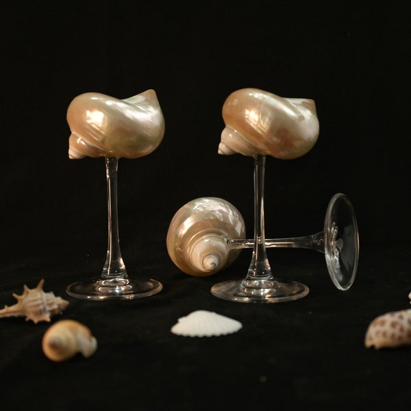 Handmade Natural Conch Shell Wine Glass, Beach Wedding Wine Glasses, Seashell Glasses, Goblet Cocktail Glass Cup, Curly Shell Glass, Gift