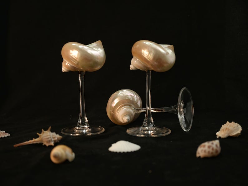 Handmade Natural Conch Shell Wine Glass, Beach Wedding Wine Glasses, Seashell Glasses, Goblet Cocktail Glass Cup, Curly Shell Glass, Gift image 1