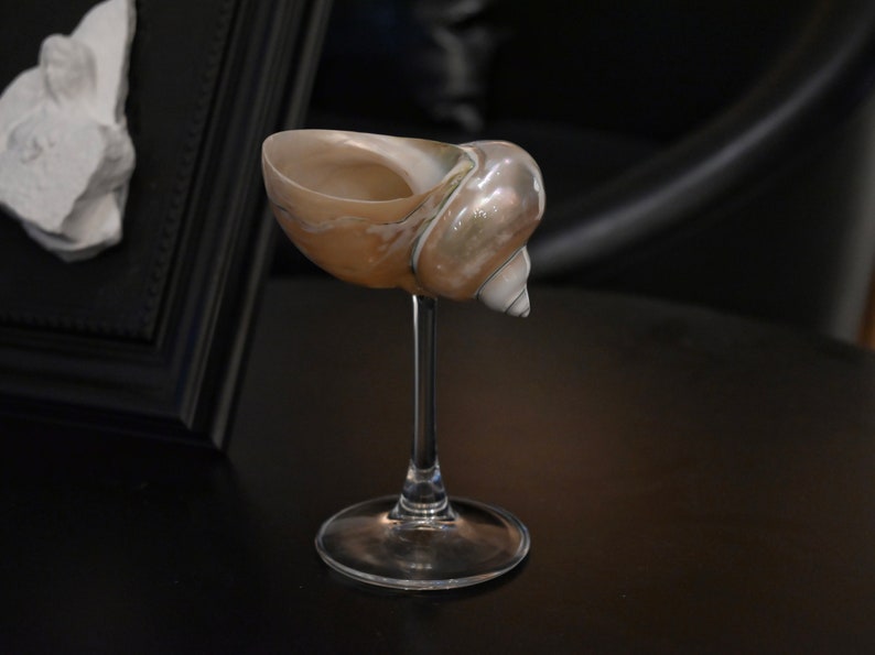 Customized Seashell Martini Glasses, Handmade Conch Cup Shell Cup Bracket Goblet, Curly Shell Glass, Modern Beach Wedding Bridesmaid Gift image 1