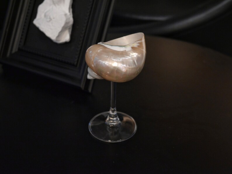 Customized Seashell Martini Glasses Handmade Conch Cup Shell Etsy