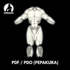 Body Muscles (PEPAKURA FOAM PATTERNS)