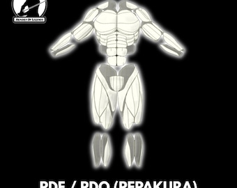 Muscoli del corpo (MODELLI IN SCHIUMA PEPAKURA)