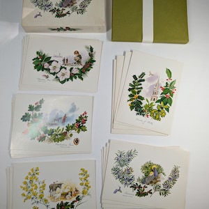 May include: A collection of rectangular greeting cards featuring botanical illustrations of holly, rosemary, and flowers, alongside religious scenes. The set includes a white box with a rosemary print and a plain olive green box with a white paper band.