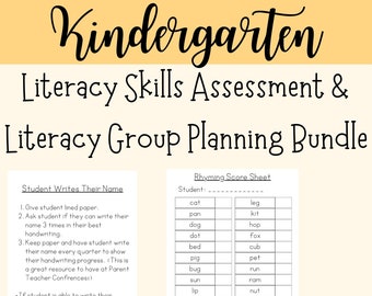 The ULTIMATE Kindergarten Literacy Skills Assessment & Literacy Group Planning Binder-Letter Recognition-Phonics-Reading-Writing-Sight Words