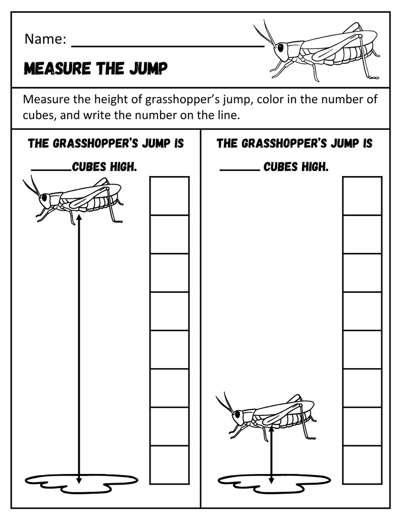 Bug Themed Workbook-letter Recognition, Number Recognition, Counting ...