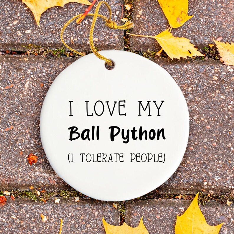 Ball Python Ornament, Ball Python Lover Gift, Herpetology Gift, Reptile Enthusiast, Exotic Pet Gift, Reptile Ornament afbeelding 17