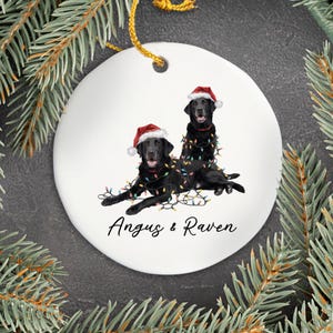 Black Labs Ornament Xmas Tree Decor Pet Lover Gift Holiday Labrador Keepsake Custom Lab Ornament Personalized Dog Gift