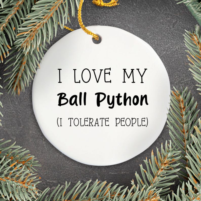 Ball Python Ornament, Ball Python Lover Gift, Herpetology Gift, Reptile Enthusiast, Exotic Pet Gift, Reptile Ornament afbeelding 16
