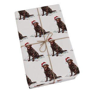 Carta da regalo natalizia con Labrador color cioccolato, confezione regalo per cani con cappello di Babbo Natale e luci natalizie
