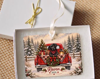 Personalized Dog Christmas Ornament, Puppy First Christmas, Custom Name Year Red Truck Keepsake