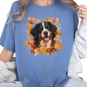 May include: A blue t-shirt featuring a graphic print of a Bernese Mountain Dog surrounded by vibrant orange, yellow, and brown autumn maple leaves. The dog has black, white, and tan fur with a happy expression, open mouth, and pink tongue.
