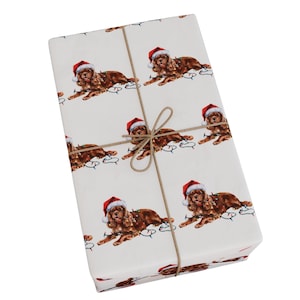Ruby Cavalier King Charles Spaniel Christmas Wrapping Paper, Gift Wrap Santa Hat Holiday Lights