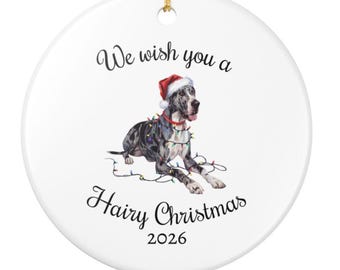 Peut inclure: Une décoration ronde en céramique blanche représentant un chien Grand Danois portant un bonnet de Père Noël rouge et entouré de guirlandes lumineuses colorées. Le texte indique We wish you a Hairy Christmas 2026. Un cordon doré est fixé au sommet.