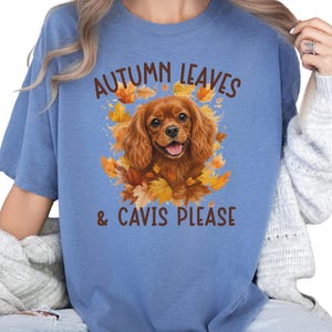 May include: A blue short-sleeved t-shirt featuring a graphic of a brown Cavalier King Charles Spaniel surrounded by orange and yellow autumn leaves. The text above the dog reads AUTUMN LEAVES and the text below the dog reads & CAVIS PLEASE.