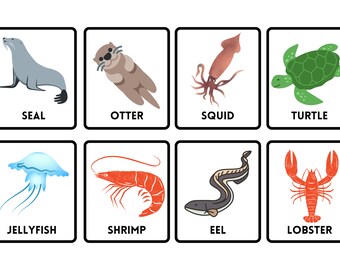 Sea Animals Flashcards | Kids Educational Flashcards