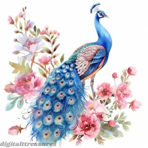 Watercolor Floral Peacock Clipart: Boho Feather Art (Digital Download)