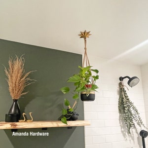 Image: Brass star ceiling hook holding a hanging planter in bathroom. Planter is hanging above a wood shelf mounted on a dark green wall. AmandaHardware.etsy.com