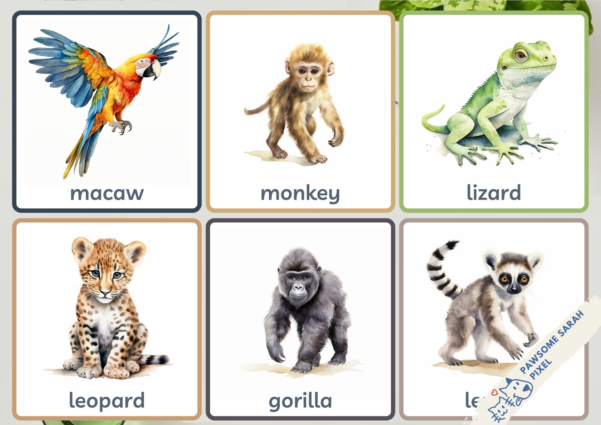 30 Rainforest Animals Flash Cards, Jungle Animals Flash Cards, Educational Printable Cards