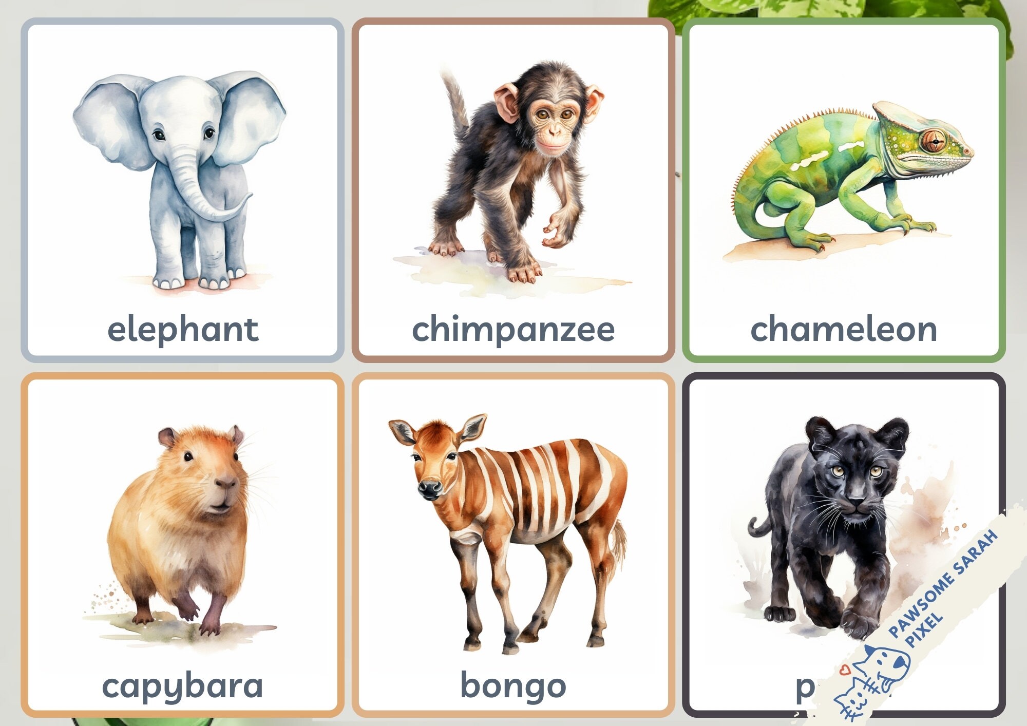 30 Rainforest Animals Flash Cards, Jungle Animals Flash Cards, Educational Printable Cards