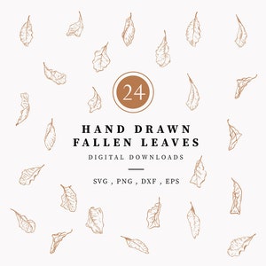 May include: A set of 24 hand-drawn fallen leaves in a brown outline. The leaves are scattered around a circle with the number 24 inside. The text "HAND DRAWN FALLEN LEAVES" is below the circle, and the text "DIGITAL DOWNLOADS" is below that. The text "SVG, PNG, DXF, EPS" is below that.