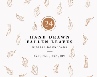 Bladeren clipart, gedroogde bladeren digitale download, handgetekende zwart-wit afbeelding SVG PNG Vector, scrapbooking, doodle