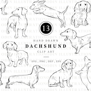 Digitale download teckel, 13 handgetekende zwart-witte lijnillustraties, scrapbooking clipart, digitaal bestand bundel, worst hondenliefhebber