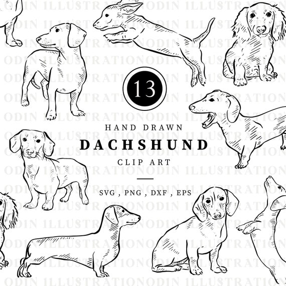 Dachshund Digital Download, 13 Hand Drawn Black and White Line Illustrations, Scrapbooking Clipart, Digital File Bundle, Sausage Dog Lover