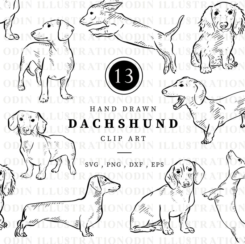 A set of 13 hand-drawn black and white illustrations of Dachshunds in various poses. The illustrations are in a vintage style and are perfect for use in digital or printed projects.