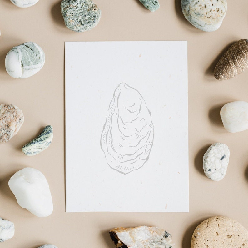 A white card with a hand-drawn illustration of an oyster shell on a beige background with various stones and pebbles scattered around the card.