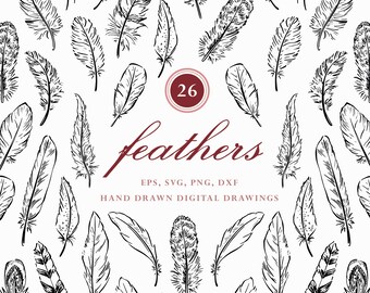 Hand Drawn Feather Drawings, Bird Clip Art Bundle, Bird SVG Illustration, Boho Animals, Cute Whimsical Feathers in Sketch Line Art Style