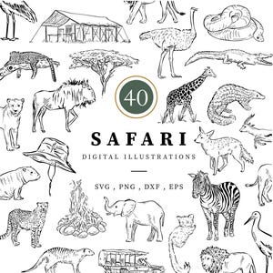 Safari digitale Illustrationen, Linie gezeichnet Clipart, 40 Png Dateien, Eps Dateien, sofortiger Download, Tierzeichnungen, Dschungel, wilde Katze, Elefant Art
