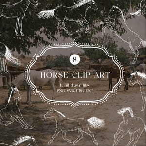 Puede incluir: Un gráfico digital con bocetos de líneas blancas de caballos en varias poses dispuestos alrededor de un marco decorativo central. El texto dice 8 HORSE CLIP ART hand drawn files PNG, SVG, EPS, DXF. El fondo es una escena al aire libre.