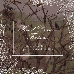 Peut inclure: Un design graphique numérique présentant des illustrations de plumes dessinées à la main en blanc encadrant une bordure rectangulaire centrale. Le texte indique Hand Drawn Feathers, line drawn clip art, eps, svg, dxf and png files.