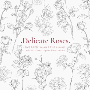 Può includere: Illustrazione in bianco e nero di rose disegnate a mano. L'immagine presenta vari fiori e steli di rose, con il testo ".Delicate Roses." e informazioni sui tipi di file e il numero di illustrazioni.