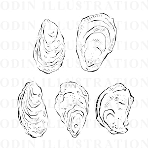 Five black and white line drawings of oyster shells. The shells are drawn in a realistic style, with detailed lines showing the texture of the shells.