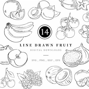 Bundle de cliparts fruits, téléchargement immédiat svg, png, eps, dxf 300dpi, Illustration vectorielle, illustrations de menus dessinés au trait, mariage bricolage
