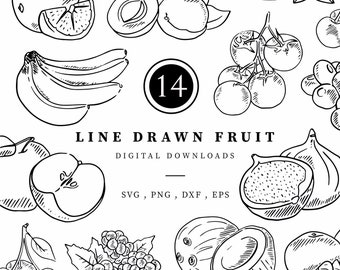 Fruit Clipart Bundle, Instant Download Line Drawn svg, png, eps, dxf 300dpi, Vector Illustration, Line Drawn Menu Illustrations, DIY Wedding