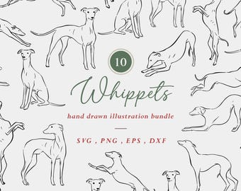 Whippet Clipart Bundle, Greyhound Drawings, Sighthound SVG Files, Vector Illustrations, Dog Decals, Canine, Dog Portrait, Hand Drawn Pet