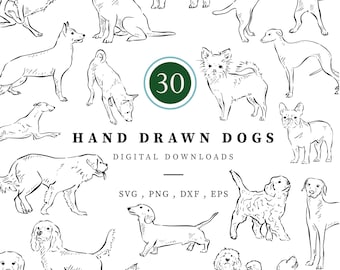 Dogs Line Drawn Clipart, 30 Png, Svg, Dxf Eps vector files, Pooches, Dog Lover, Dalmatian Illustration, Hand Drawn Canine, Collie, Spaniel
