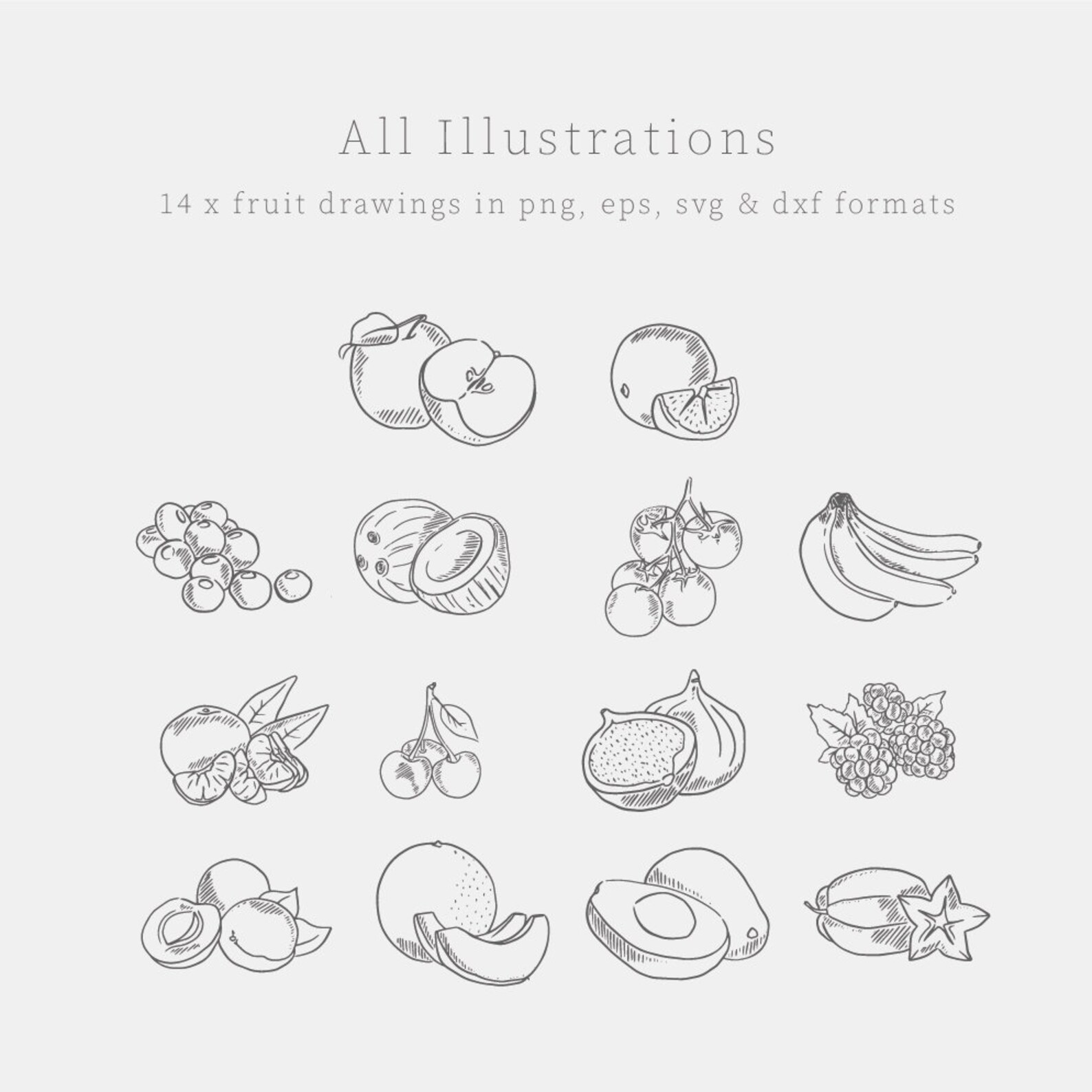 Fruit Clipart Bundle, Instant Download Line Drawn Svg, Png, Eps, Dxf ...