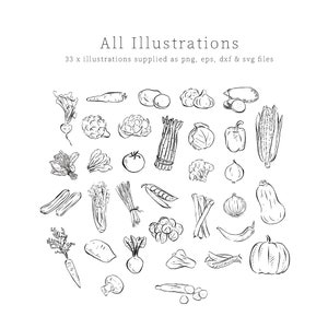 Vegetables Line Drawn Clipart, Black and White Digital Download ...
